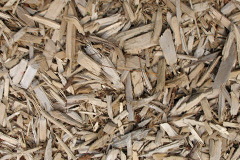 biomass boilers Manswood